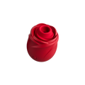 Womanizer Rose