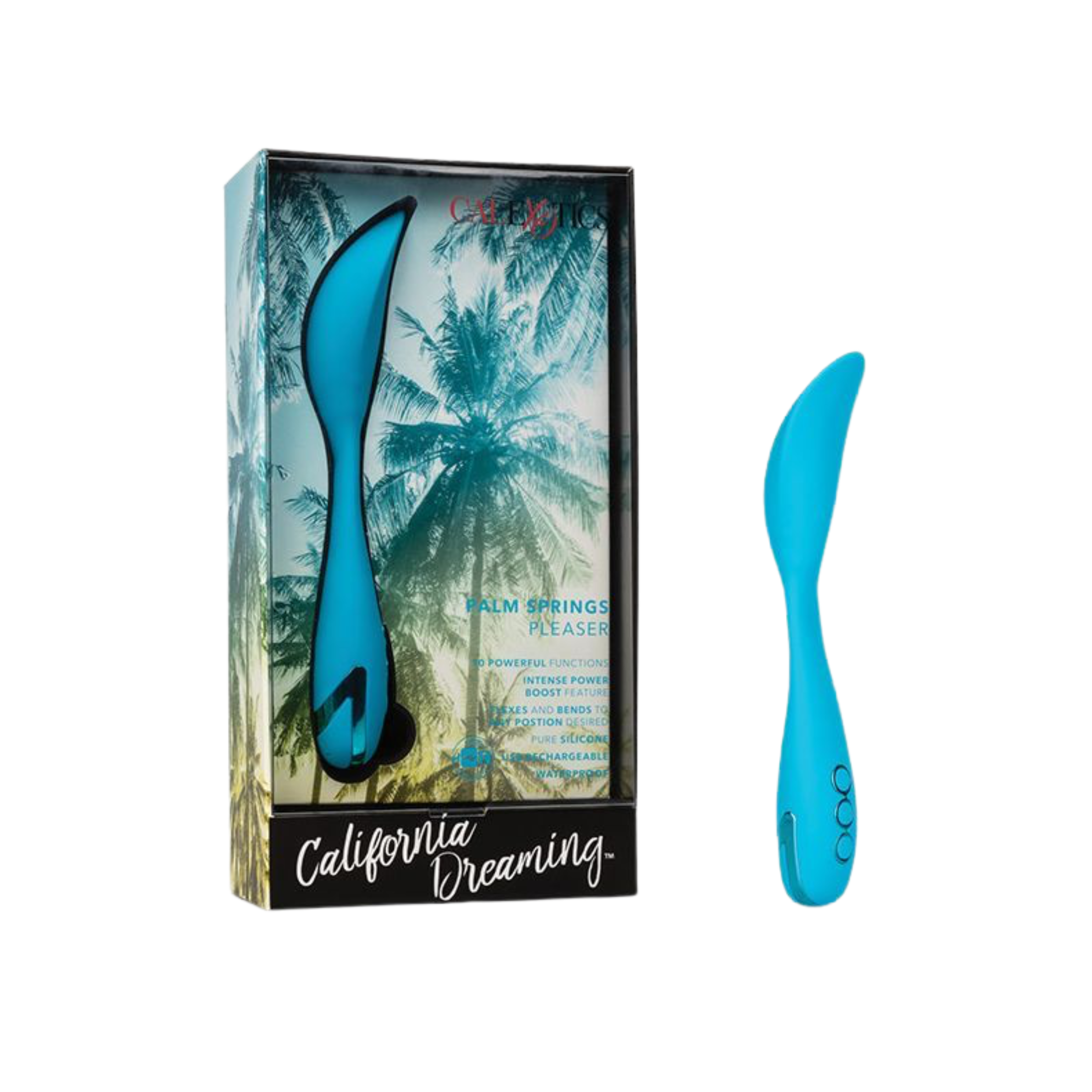 Palm Springs Pleaser